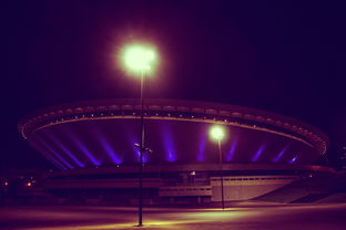 乐鱼VIP-AG超玩会再度捧杯创纪录，ag超玩会的成绩